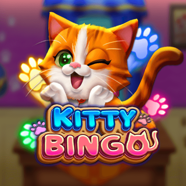 Kitty Bingo